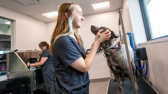 First Look Walmart opens its first ever pet services center