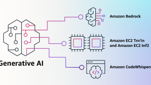 Amazon AI model
