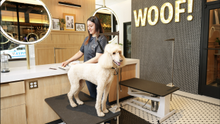 The new Petco flagship is located in the landmark Tammany Hall building at 44 Union Square. 